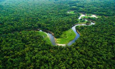 Por que a Amazônia é um dos lugares mais importantes do planeta