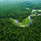 Por que a Amazônia é um dos lugares mais importantes do planeta