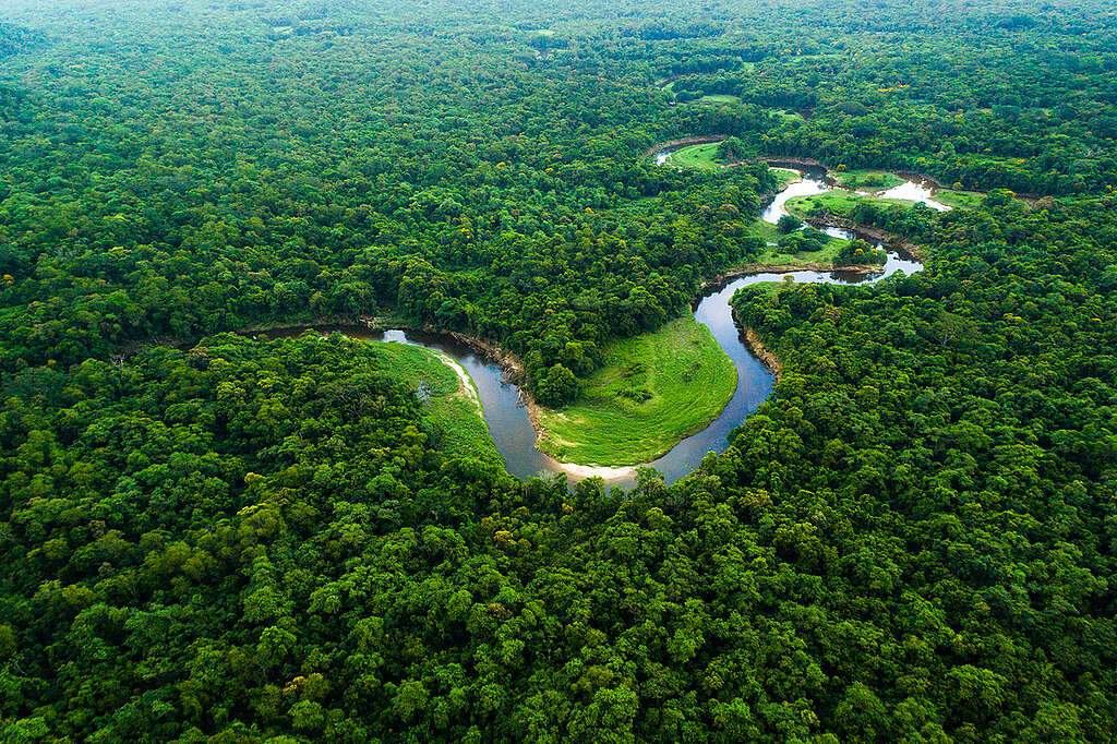 Por que a Amazônia é um dos lugares mais importantes do planeta