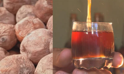 beneficios do jenipapo 6