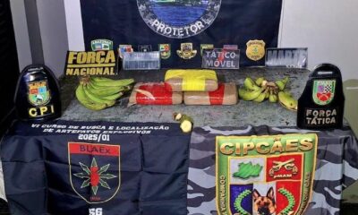 cão policial fareja drogas escondidas em bananas e pm apreende mais de 14 kg em coari