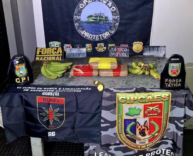 cão policial fareja drogas escondidas em bananas e pm apreende mais de 14 kg em coari