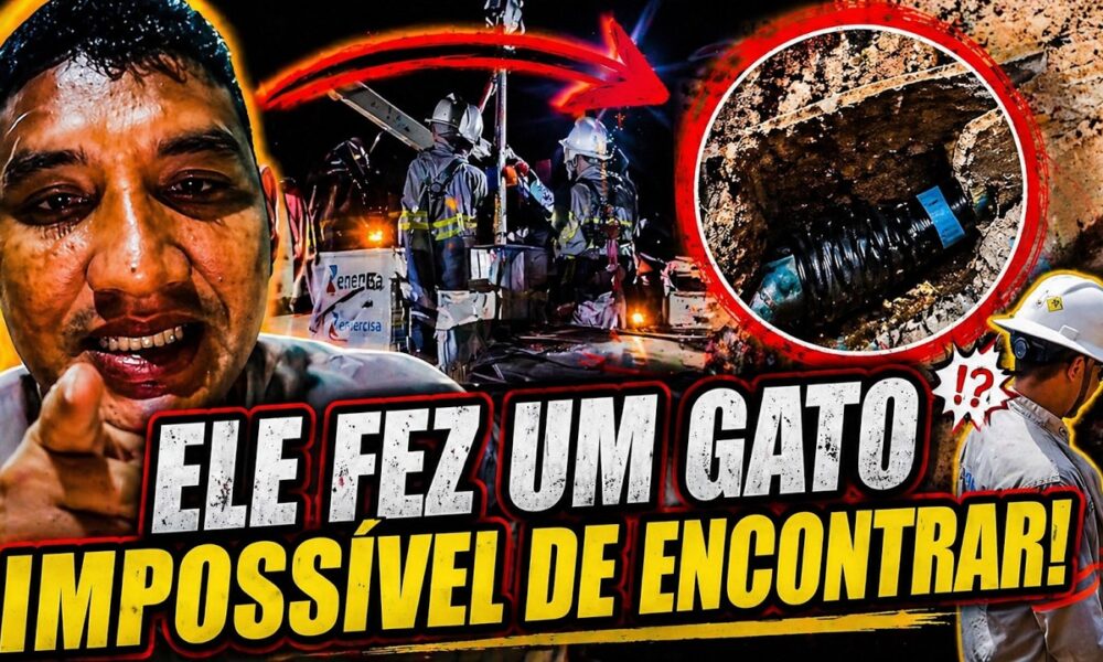 Homem viraliza após desafiar empresa de energia com gato impossível de encontrar!