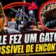 Homem viraliza após desafiar empresa de energia com gato impossível de encontrar!