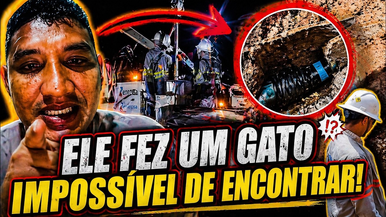 Homem viraliza após desafiar empresa de energia com gato impossível de encontrar!