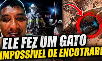 Homem viraliza após desafiar empresa de energia com gato impossível de encontrar!