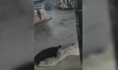 menino cai em bueiro durante chuva em manaus e é resgatado; veja vídeo