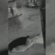 menino cai em bueiro durante chuva em manaus e é resgatado; veja vídeo