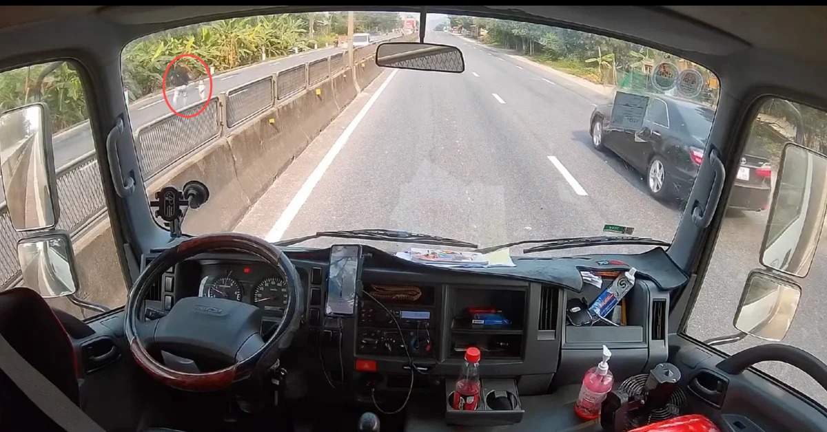 motorista salva crianca em rodovia