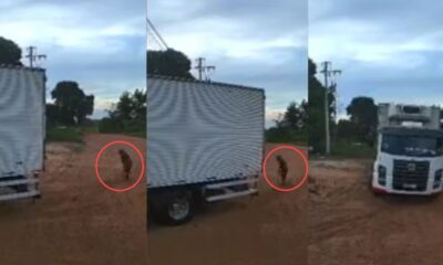 video flagra idosa atropelada por caminhao