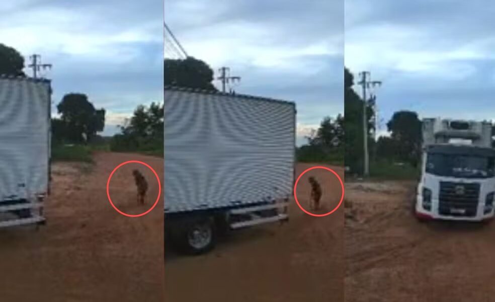video flagra idosa atropelada por caminhao