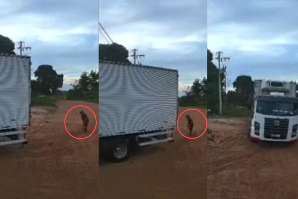 video flagra idosa atropelada por caminhao