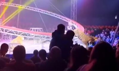 vÍdeo tigre salta em direção ao público após grade ceder em circo na rússia