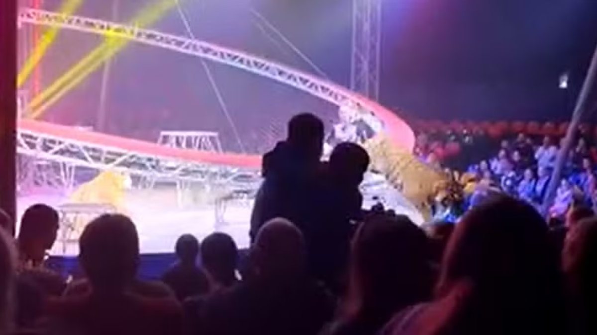 vÍdeo tigre salta em direção ao público após grade ceder em circo na rússia