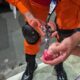 criança de 4 anos fica com dedo preso em pote de massinha e é resgatada pelos bombeiros em manaus