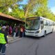 pesquisa (1)