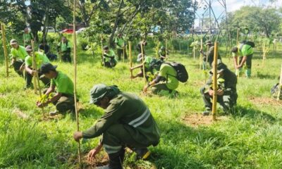 prefeitura de manaus já plantou mais de 24 mil mudas no primeiro quadrimestre de 2026 3