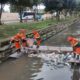 projeto ambiental (1)