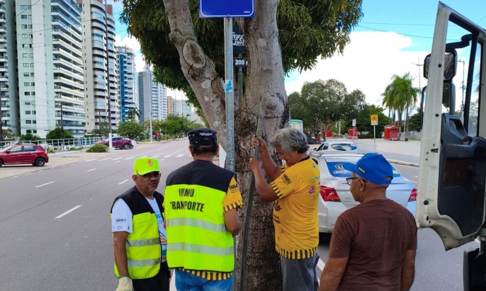 sinalização (1)
