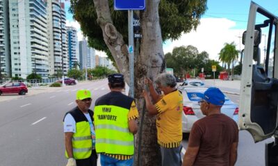 sinalização (1)