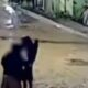 vídeo idosa enfrenta assaltante com sombrinha e faz criminosos fugirem no amazonas