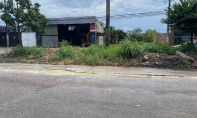 avenida margarita (1)
