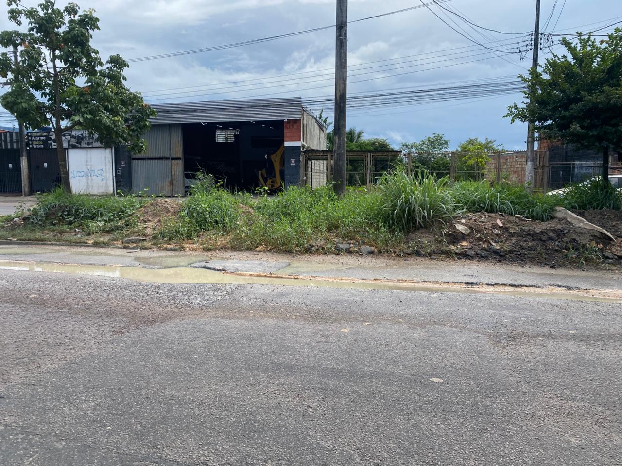avenida margarita (1)