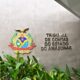 pleno do tce am julga 94 processos em sessão desta quarta feira (8)