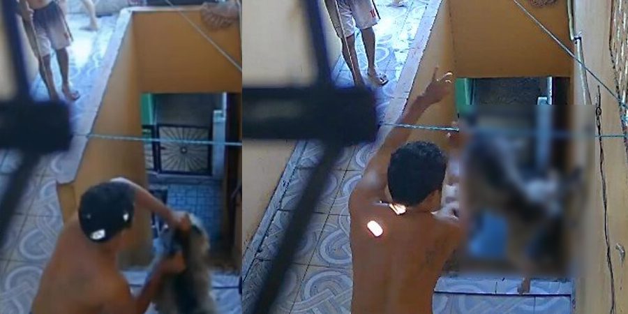 simba homem e preso apos arremessar cachorro de escada em manaus