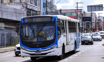 transporte (1)