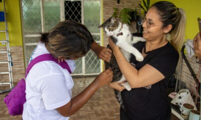 vacinação (1)