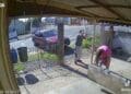 bebê nasce no quintal de casa antes de mãe chegar ao hospital e pai entra em desespero