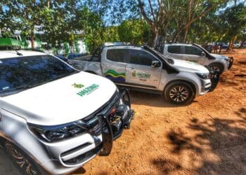 Governo lança operação com 800 pessoas para combater queimadas no sul do Amazonas