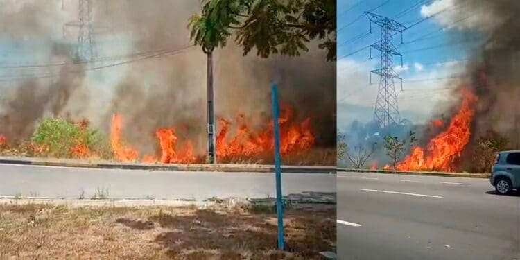 incêndio em área de vegetação provoca fumaça e congestionamento na avenida das torres, em manaus
