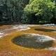 Cachoeira do Mutum