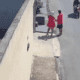 criminoso usa pedido de água como distração e rouba celular de moradora em manaus; veja vídeo